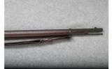 Springfield 1884 Rifle - .45-70 Cal. - 9 of 9