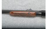 Remington 572 Fieldmaster Pump - .22 Cal. - 6 of 9