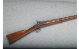 Springfield 1870 (Musket/Rifle Conversion) - .50-70 Cal. - 1 of 9