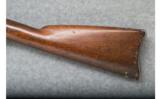 Springfield 1870 (Musket/Rifle Conversion) - .50-70 Cal. - 8 of 9