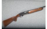 Remington Model 1100 LW - .410 Ga. - 1 of 9