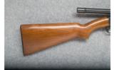 Remington 121 Fieldmaster - .22 cal. - 3 of 9
