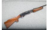 Remington 760 Gamemaster - .30-06 SPRG - 1 of 9