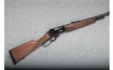 Marlin 1895M Lever Action - .450 Marlin - 1 of 9