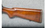 Remington Model 81 - .300 Savage - 7 of 9