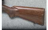 Winchester Model 100 - .308 Win. - 7 of 9