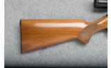 Browning BAR (Belgium) - .243 Win. - 3 of 9