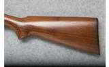 Winchester Model 24 - 20 Ga. SxS - 7 of 9