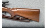 Winchester Model 70 - .22 Hornet - 7 of 9