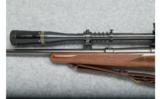 Winchester Model 70 - .22 Hornet - 6 of 9
