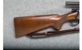 Winchester Model 70 - .22 Hornet - 3 of 9