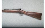 Springfield 1884 Trapdoor - .45-70 GOV'T - 5 of 6