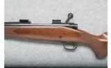 Winchester Model 70 - .308 Win. - 5 of 9