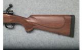 Winchester M70 Sporter - .264 Win. Mag. - 7 of 9