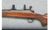 Remington 700 Classic - .243 Win. - 5 of 9