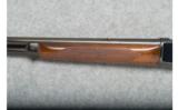 Winchester Model 71 Lever Action - .348 Win. - 6 of 9
