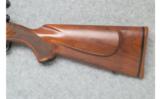 Winchester Model 70 - .300 Win. Mag. - 7 of 9