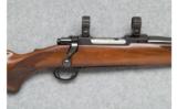 Ruger M77 RS Carbine - .243 Win. - 2 of 9
