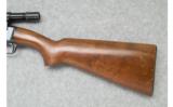 Remington 121 - .22LR, Short & Long - 7 of 9
