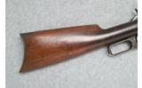 Winchester 1895 Lever
- .30-40 Krag(30 U.S.) - 3 of 9