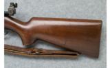 Winchester ~ Model 75 ~ .22 LR - 7 of 9