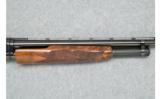 Winchester Model 12 - Flamed Stock - 12 Ga. - 8 of 9