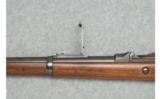Springfield Model 1884 Rifle - Pristine .45-70 - 7 of 9