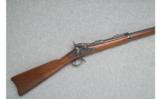 Springfield Model 1884 Rifle - Pristine .45-70 - 1 of 9