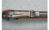 Springfield Model 1884 Rifle - Pristine .45-70 - 8 of 9
