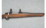 Ruger M77 Hawkeye - .257 Roberts - 3 of 7
