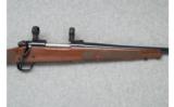 Winchester Model 70 Featherweight - 7mm Rem. Mag. - 3 of 7