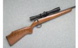 Remington Model 581 - .22 Cal. - 1 of 7