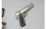 AMT Government Model (1911) - .45 ACP - 1 of 3