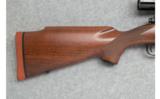 Winchester Model 70 Super Express - .416 Rem. Mag. - 2 of 7