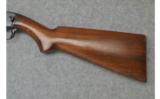 Winchester 61 Rifle - .22 S, L & LR - 7 of 8