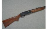 Remington ~ 740 Woodsmaster ~ .30-06 Sprg. - 1 of 9