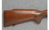 Winchester ~ Model 70 ~ .270 Win ~ Mfg. 1957 - 2 of 9