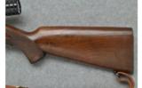 Winchester ~ Model 75 ~ .22 LR - 8 of 9