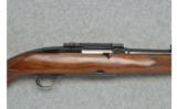 Winchester ~ Model 100 ~ .284 Winchester - 4 of 9