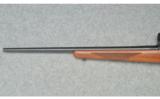 Ruger ~ 77/22 ~ .22 Lr - 7 of 9