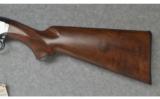 Winchester ~ 12 Limited ED. ~ 20 Ga - 9 of 9