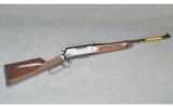 Browning ~ BLR Lightweight ~ .243 Winchester - 1 of 9