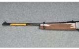 Browning ~ BLR Lightweight ~ .243 Winchester - 7 of 9