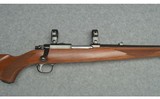 Ruger ~ 77/22 ~ .22 Hornet - 3 of 10