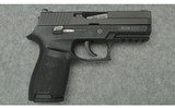 Sig Sauer ~ P250 ~ 9mm Luger - 1 of 2