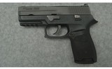 Sig Sauer ~ P250 ~ 9mm Luger - 2 of 2