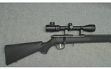 Savage ~ 93R17 ~ .17 HMR - 2 of 6