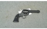 Ruger ~ Wrangler ~ .22 LR - 1 of 2