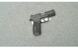 Sig Sauer ~ P365X ~ 9mm