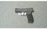 Sig Sauer ~ P365X ~ 9mm - 2 of 2